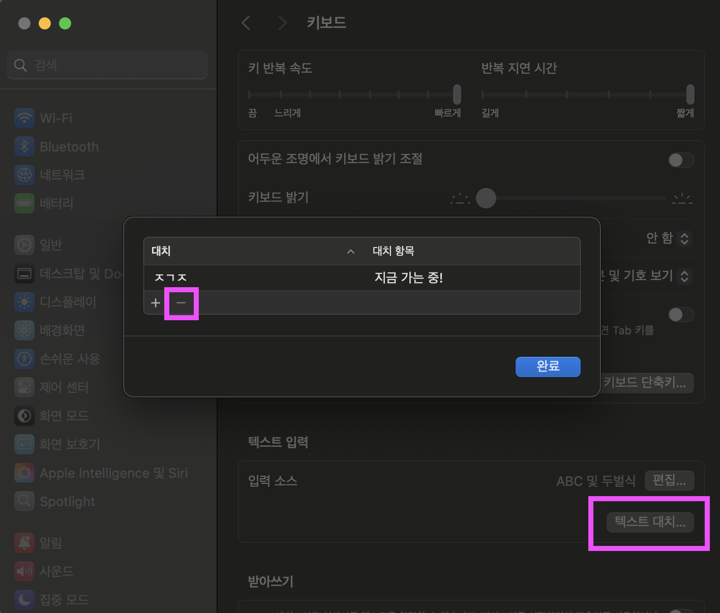 텍스트 대치 설정