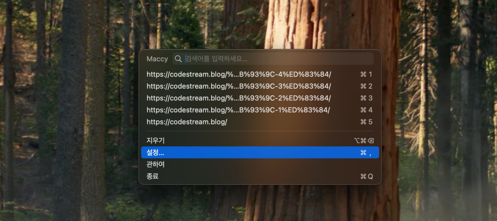 Maccy 클립보드 히스토리 화면
